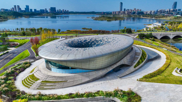 苟懿博：科技教育的青年领航者与创新先锋