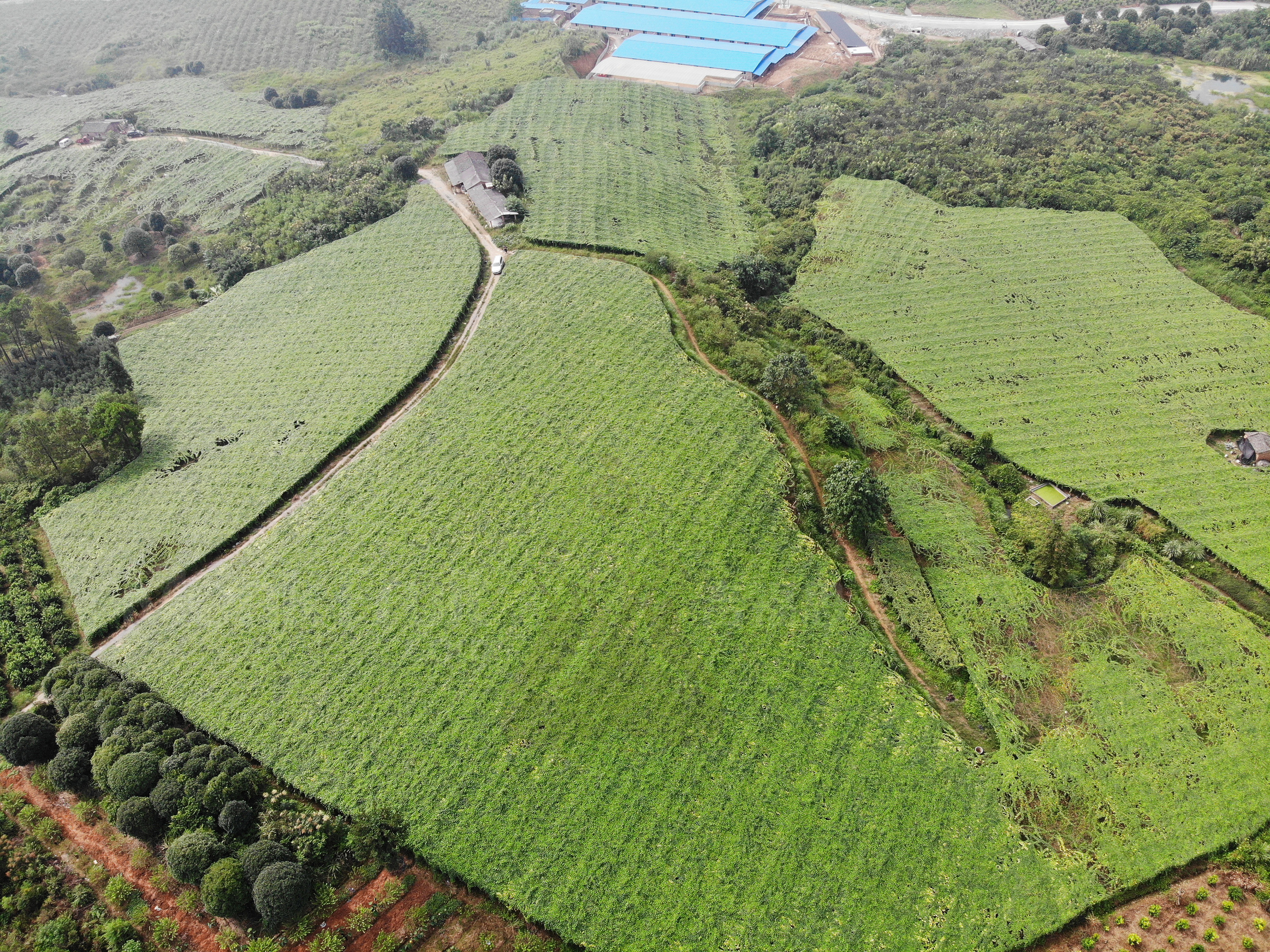 银行保险绿色金融高质量发展“施工图”出炉 银行机构要加大信贷供给,开发特色绿色金融产品服务;保险公司要加强保险资金运用,参与绿色项目投资