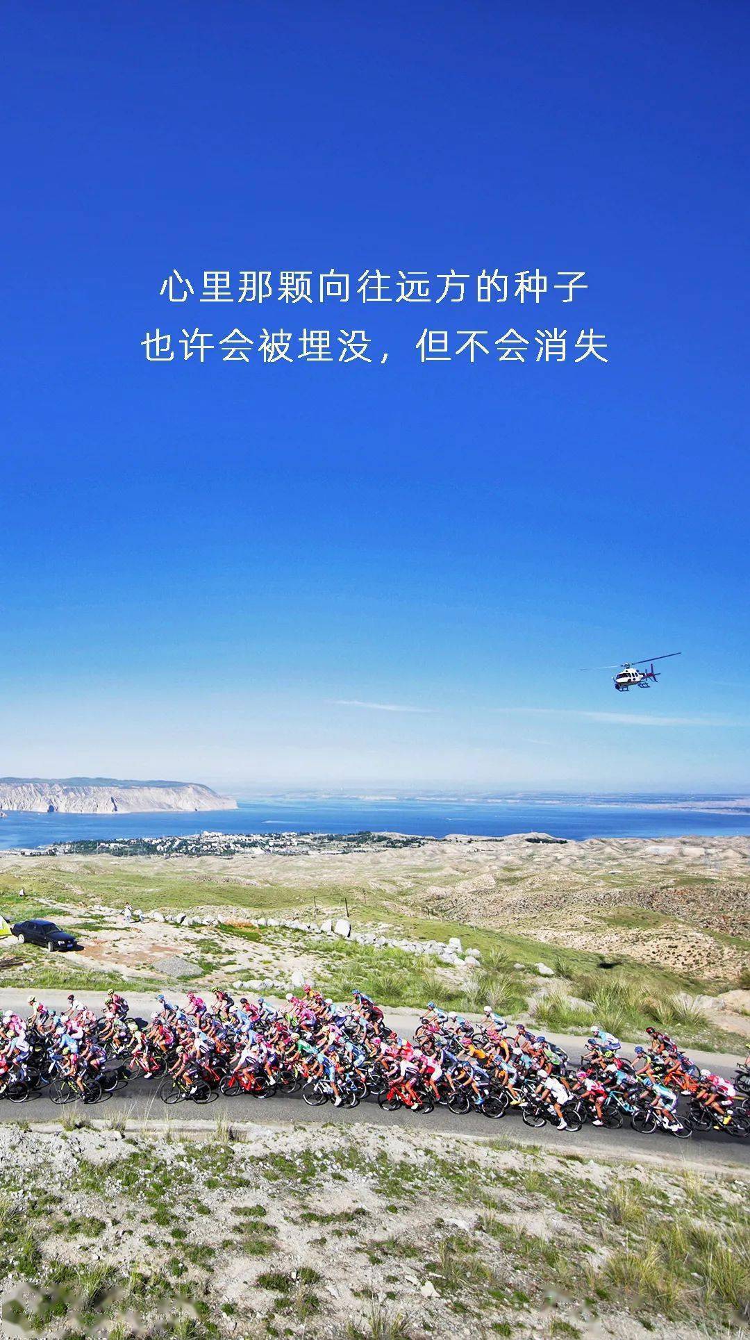 从奥运赛场到投资战场：以热爱与坚守奔赴远方