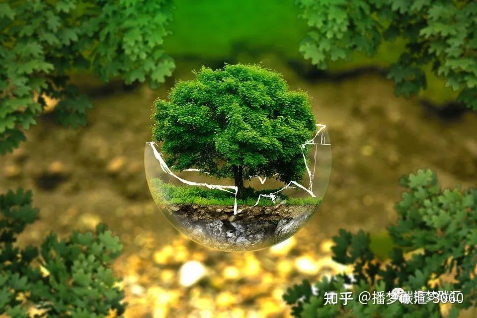 破冰普惠医疗险新赛道 看中国人寿如何托起湾区人民稳稳的幸福