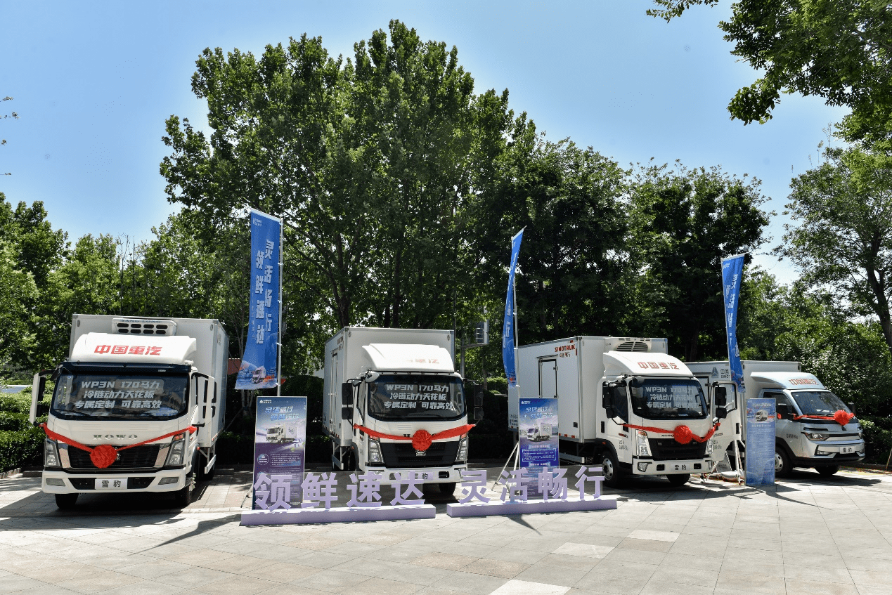 冷链物流的"数字革命" 华鼎雪豹大模型如何重构行业生态？