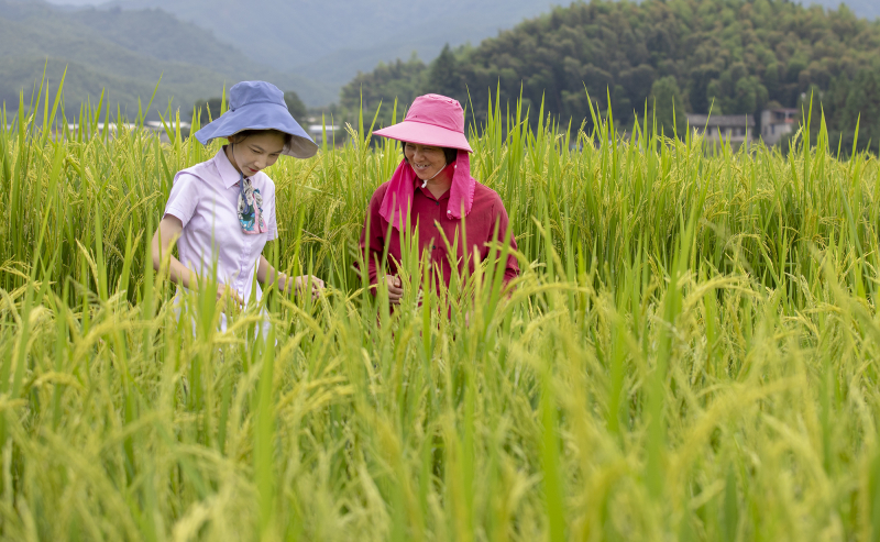 华夏华电清洁能源REIT成功上市！树绿色金融创新标杆
