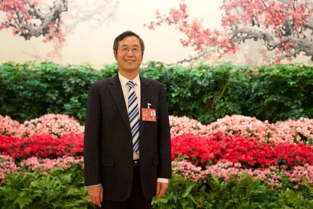 结构性牛市延续!淳厚基金发声:聚焦科技成长,兼顾低估修复