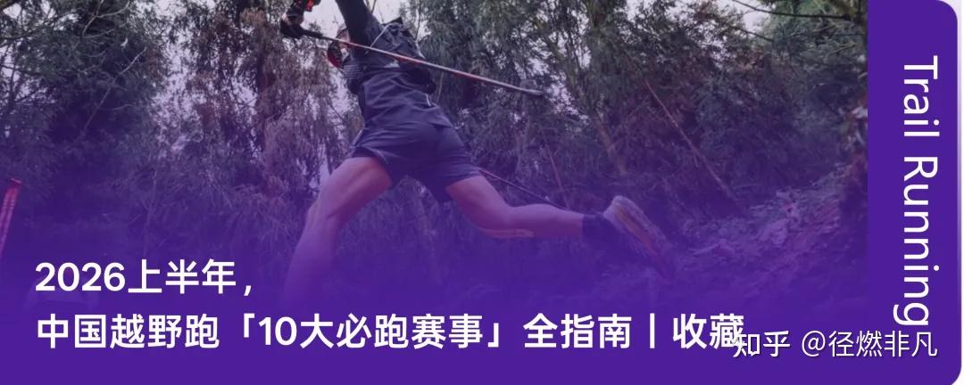 成长赛道共振“十五五”,如何通过主动型基金参与?